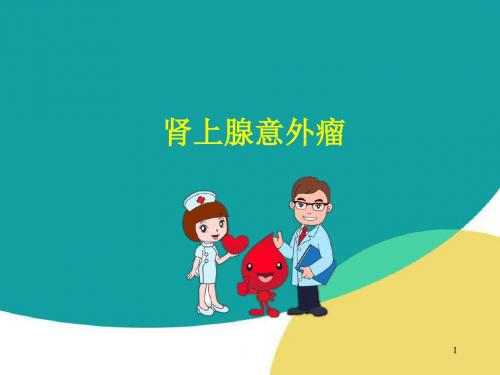 (精选课件)肾上腺意外瘤PPT幻灯片
