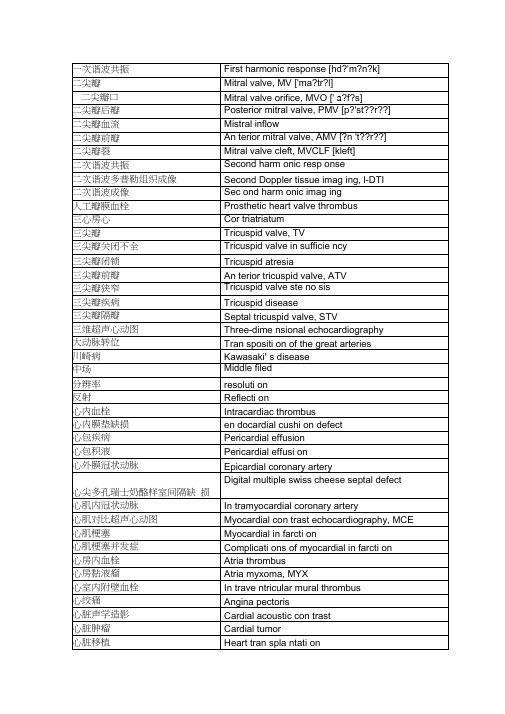(完整版)心脏超声中英文对照词汇