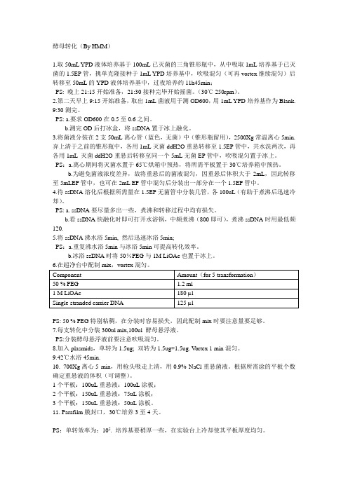 酵母转化