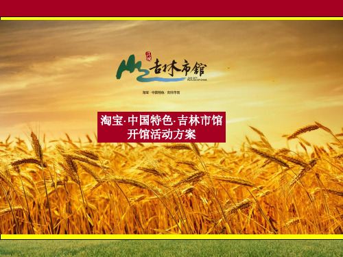 淘宝中国特色吉林市馆