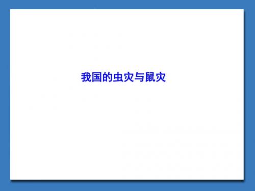 我国的虫灾与鼠灾_课件