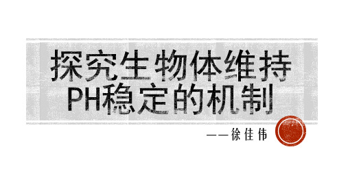 探究生物体维持PH稳定的机制