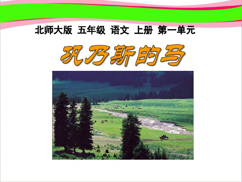 《巩乃斯的马》PPT课件4  省一等奖课件