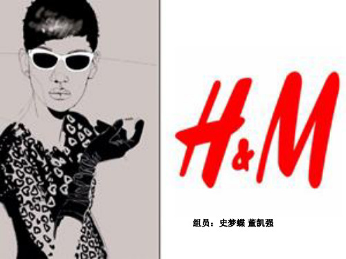 HM品牌分析 ppt课件