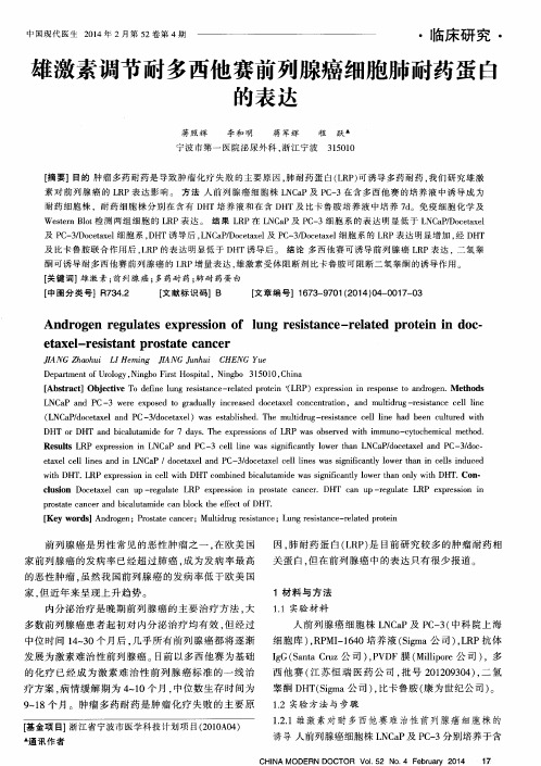 雄激素调节耐多西他赛前列腺癌细胞肺耐药蛋白的表达