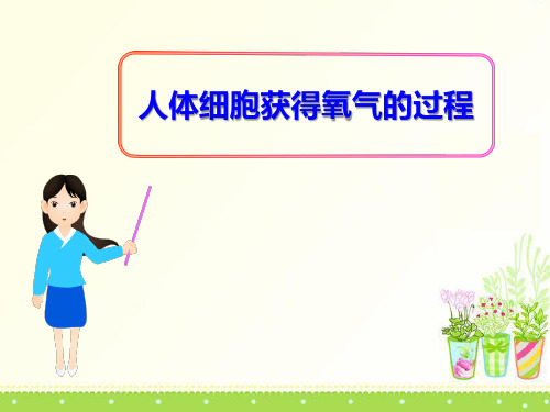 《人体细胞获得氧气的过程》PPT
