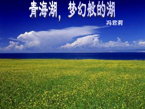 青海湖,梦幻般的湖ppt实用资料