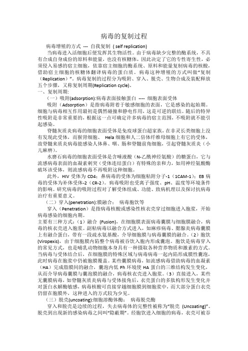 病毒的复制过程