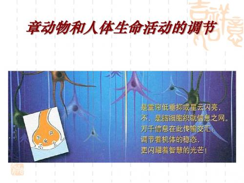 《免疫调节》PPT课件10(第一课时) 人教课标版