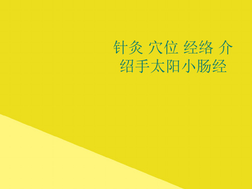 针灸 穴位 经络 介绍手太阳小肠经PPT资料(正式版)