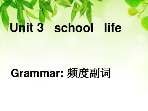 频度副词课件 (2)