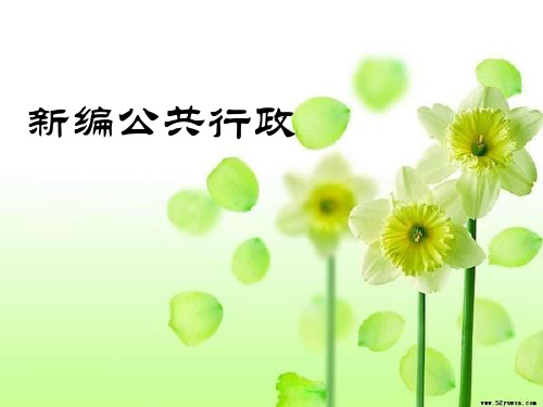 《新编公共行政管理学》课件PPT 第09章 行政法治
