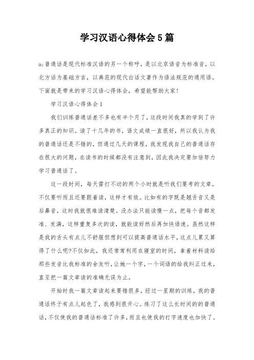 学习汉语心得体会5篇