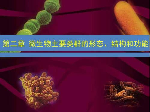 食品微生物学第二章