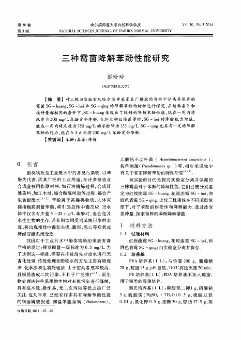 三种霉菌降解苯酚性能研究