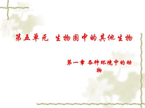 《水中生活的动物》教学课件2 人教版