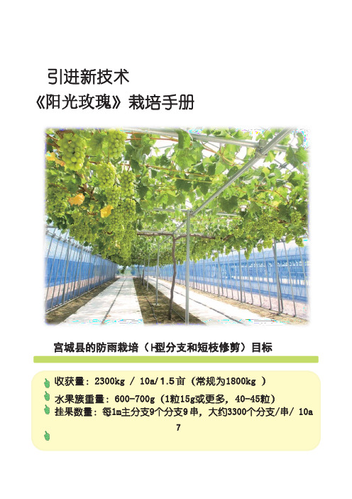 日本-宫城县阳光玫瑰栽培手册-翻译中文版