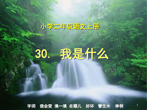 30课我是什么ppt课件