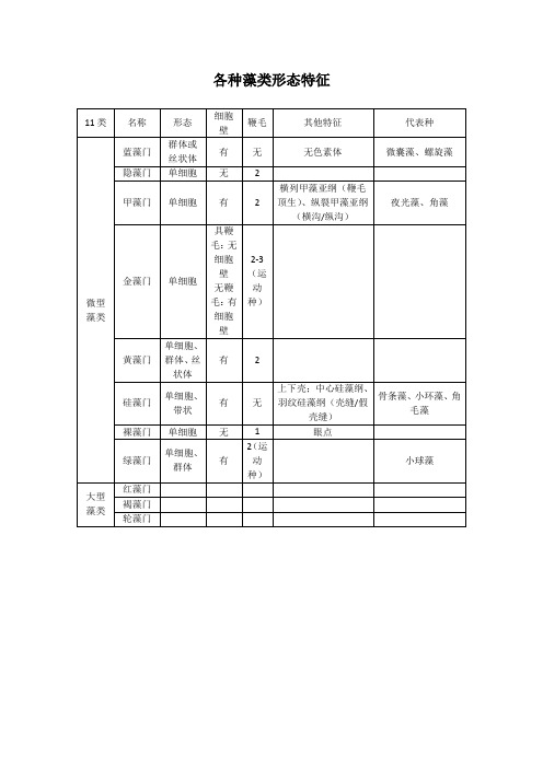 各种藻类形态特征
