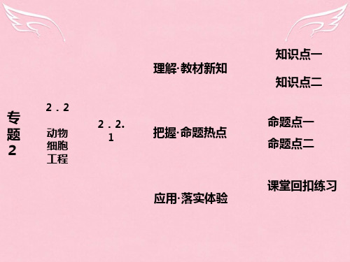 2016年高中生物 第1部分 专题2 细胞工程 2.2 动物细胞工程 2.2.1 动物细胞培养和核移植技术课件