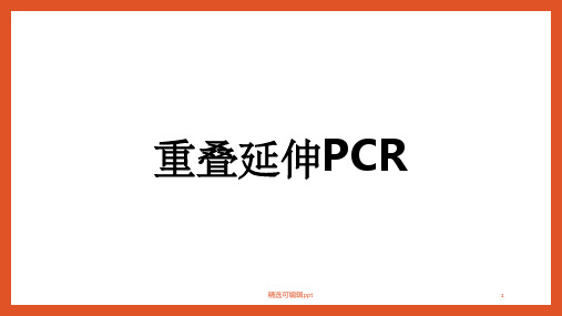 重叠延伸PCR