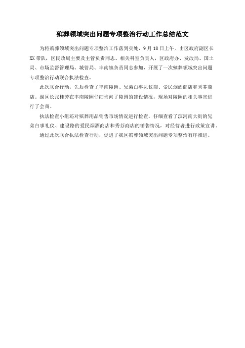 殡葬领域突出问题专项整治行动工作总结范文
