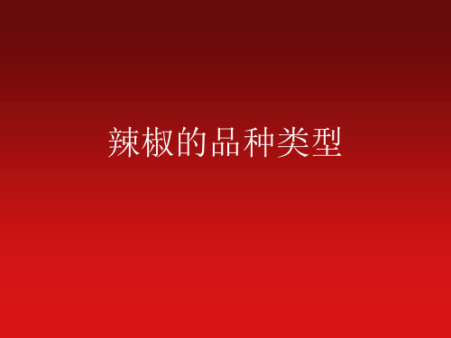 辣椒的品种类型