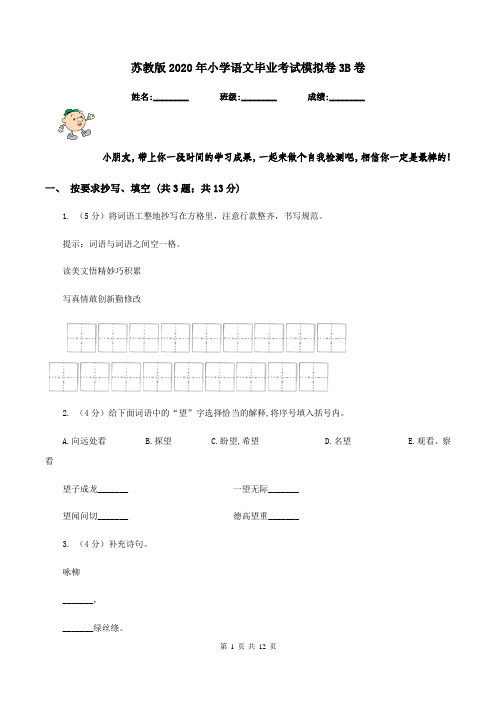 苏教版2020年小学语文毕业考试模拟卷3B卷