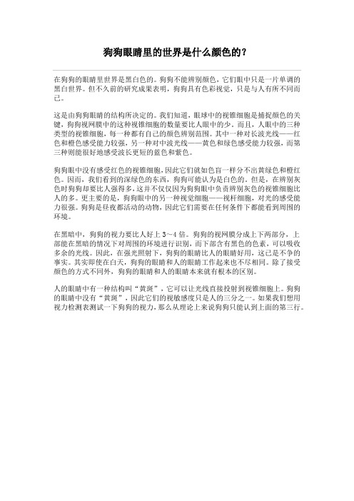 狗狗眼睛里的世界是什么颜色的？