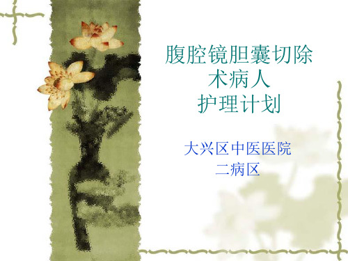 腹腔镜胆囊切除术