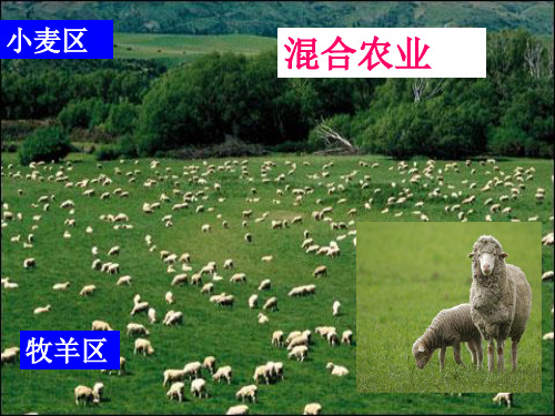 澳大利亚混合农业的区位因素