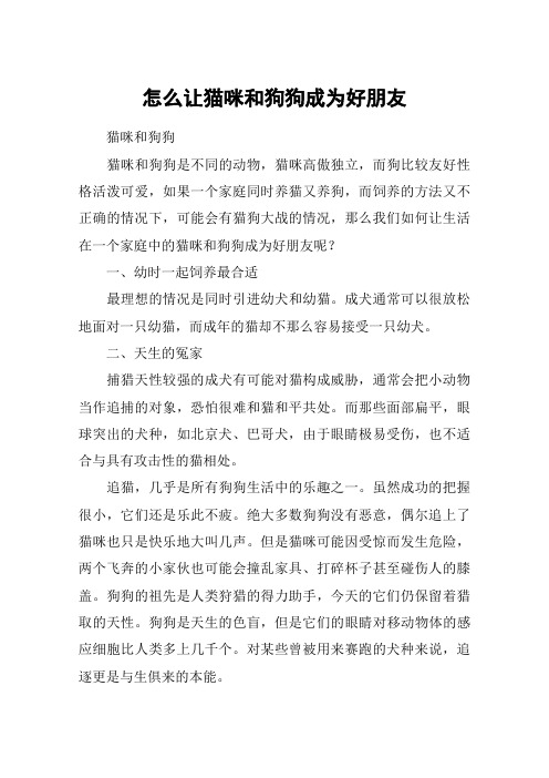 怎么让猫咪和狗狗成为好朋友