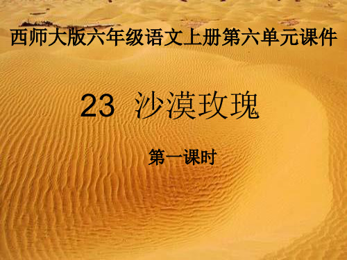 (优选)六年级语文上册第23课沙漠玫瑰PPT课件2西师大版