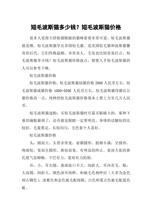 短毛波斯猫多少钱？短毛波斯猫价格