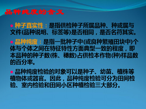 品种纯度检验
