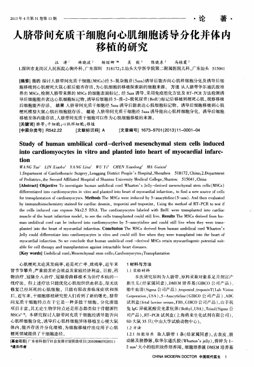 人脐带间充质干细胞向心肌细胞诱导分化并体映移植的研究