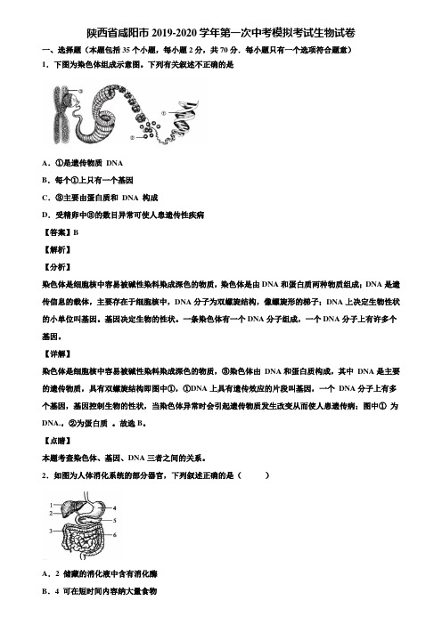 陕西省咸阳市2019-2020学年第一次中考模拟考试生物试卷含解析