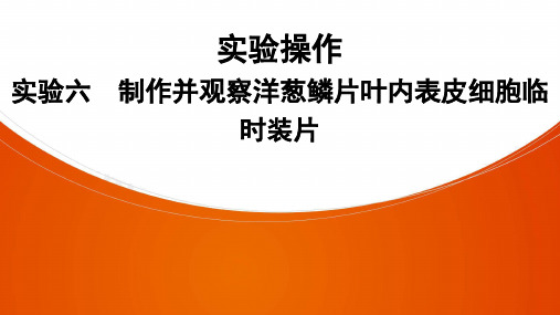 生物七年级上册人教版实验操作 实验6 制作并观察洋葱鳞片叶内表皮细胞临时装片