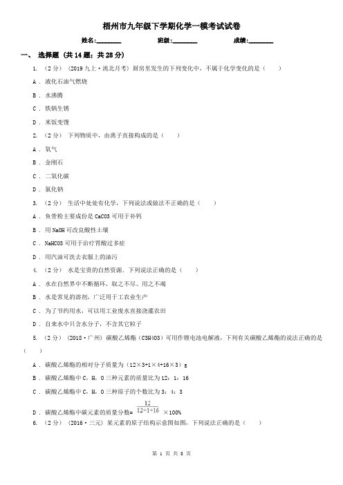 梧州市九年级下学期化学一模考试试卷