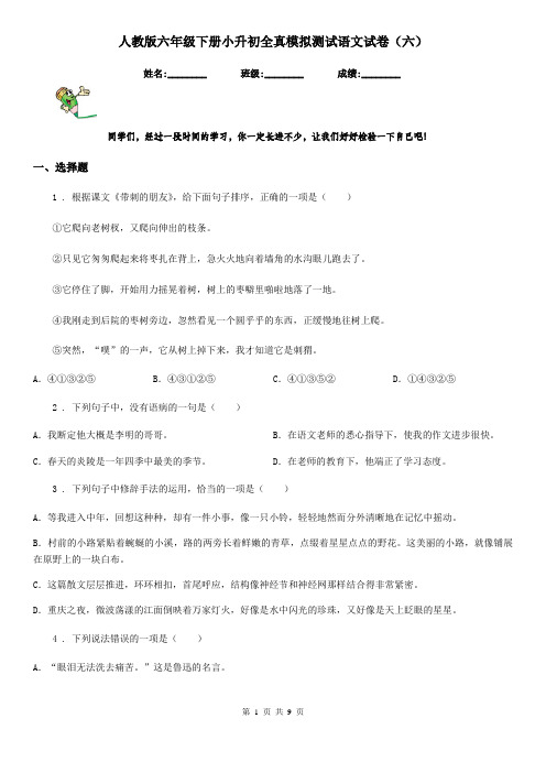 人教版六年级下册小升初全真模拟测试语文试卷(六)