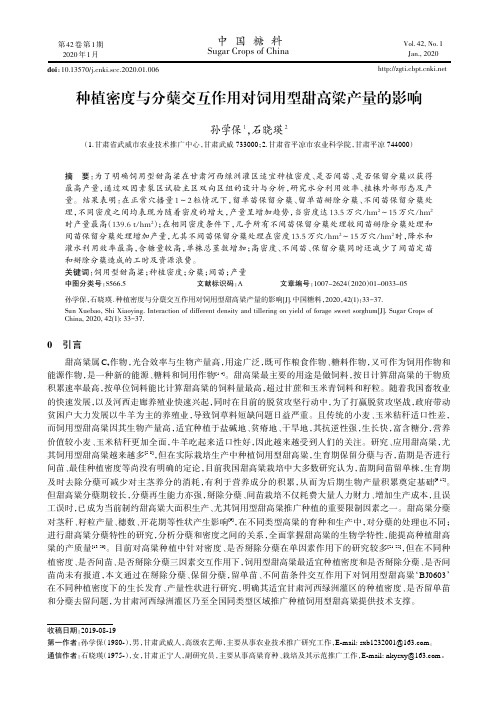 种植密度与分蘖交互作用对饲用型甜高粱产量的影响
