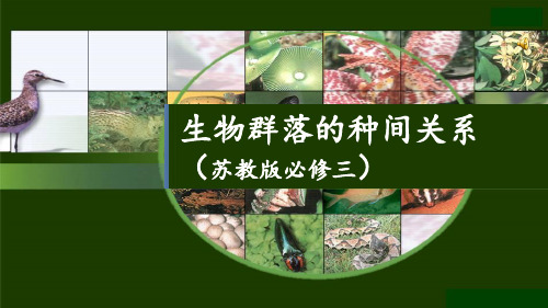 苏教版高中生物必修3《生物群落中的种间关系》名师课件