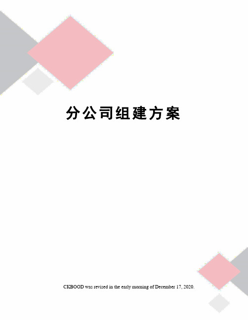 分公司组建方案