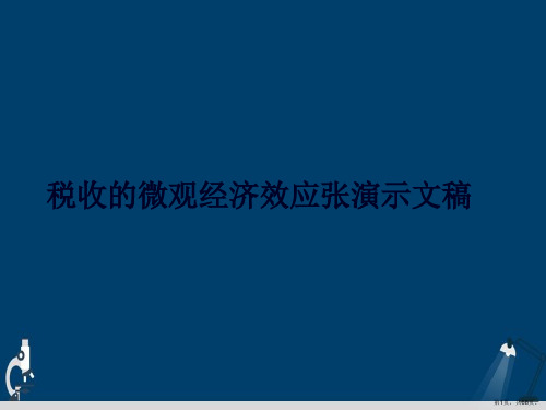 税收的微观经济效应张演示文稿