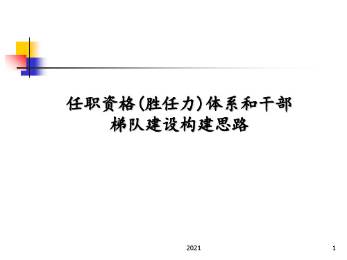 任职资格体系构建思路PPT课件
