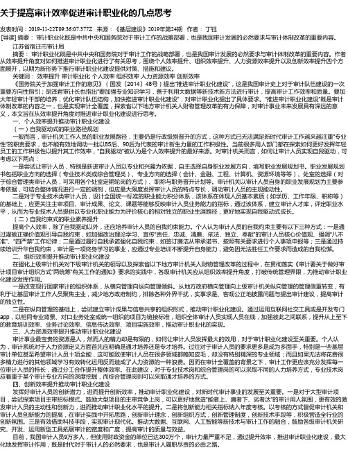关于提高审计效率促进审计职业化的几点思考