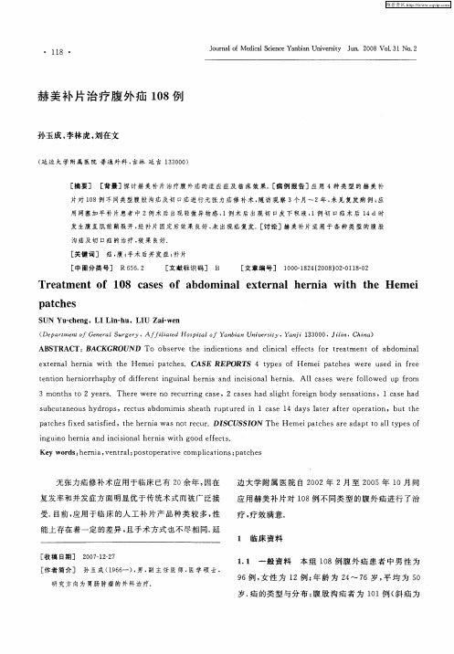 赫美补片治疗腹外疝108例