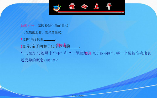 八年级下册生物第二章 生物的遗传和变异