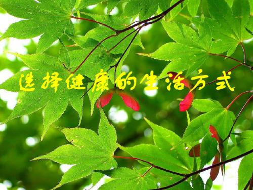 《选择健康的生活方式》教学课件1 人教版