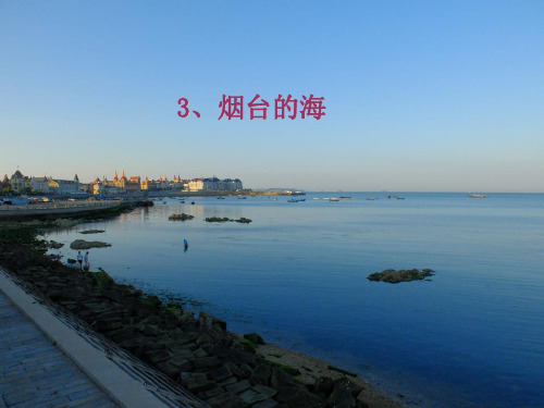 苏教版六年级下册语文3烟台的海ppt课件